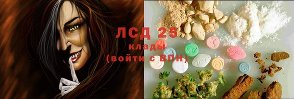 шишки Абинск