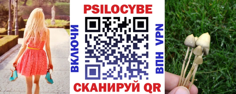 где можно купить наркотик  Норильск  Галлюциногенные грибы ЛСД 